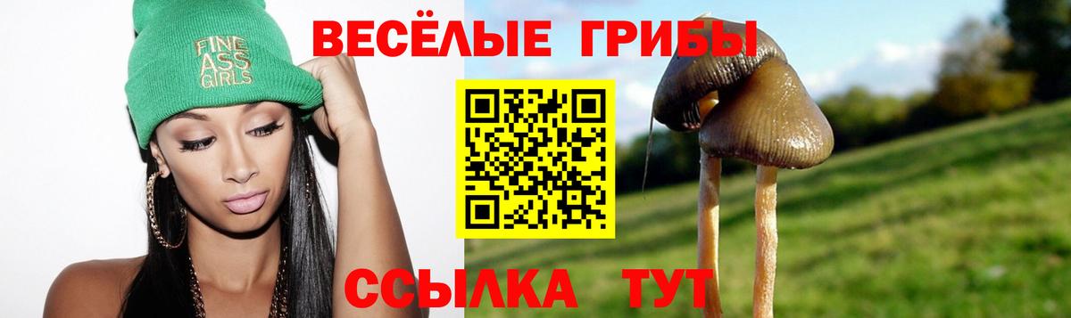 Псилоцибиновые грибы Psilocybe  Вход с VPN  Псилоцибиновые грибы Cubensis  где купить наркотик  Электросталь 